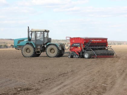 Кукурузу быстрее сеют