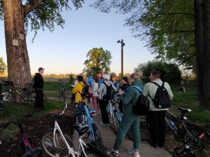 Двухсотлетнюю липу нашли участники велопрогулки «Сам себе экскурсовод» в Вологде