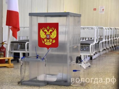 Горячая линия по выборам в Вологде