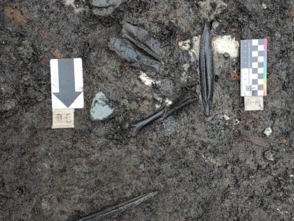 Археологи попросили череповчан помочь на раскопках