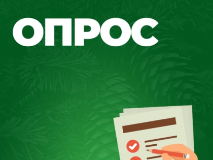 Проведение опроса организаций