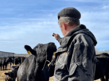 Никольские фермеры получили господдержку