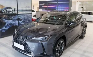 Lexus UX UX 300h Business