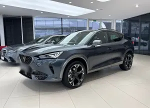 Cupra Formentor 2.0 TSI 4Drive DSG