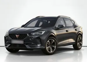 Cupra  Formentor 2.0 TSI 4Drive DSG