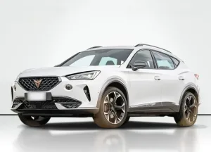 Cupra  Formentor 2.0 TSI 4Drive DSG