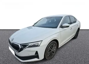 Skoda  Octavia 2.0 TDI Selection DCT