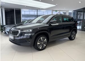 Skoda  Karoq 2.0 TDI SCR 4x4 Style DSG