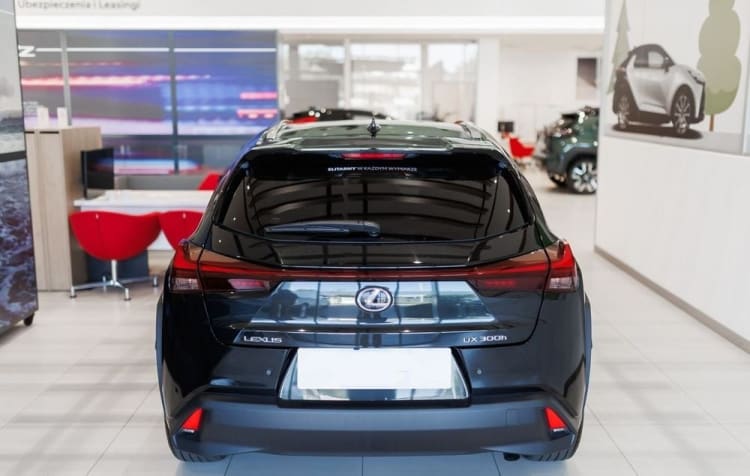 Lexus UX UX 300h Business