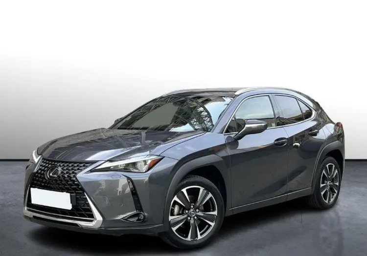 Lexus UX UX 250h GPF Business 2WD