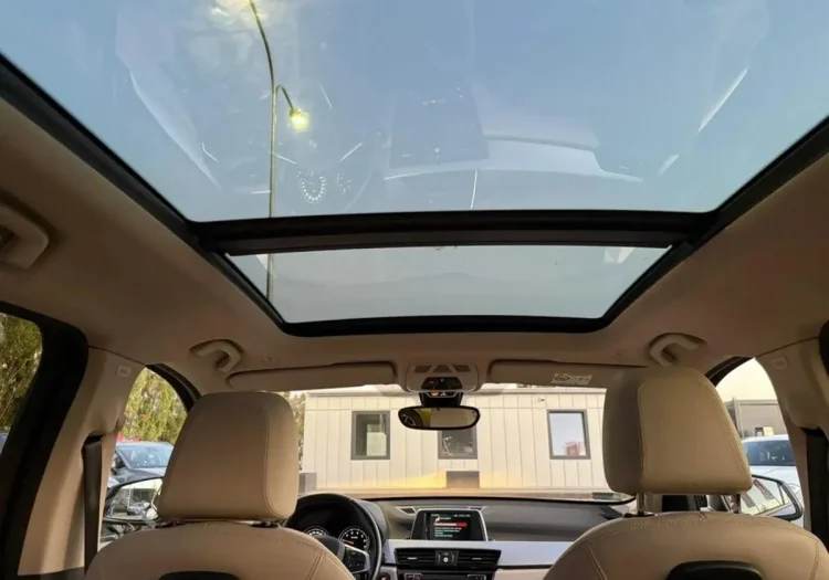 BMW X1 X1 xDrive25e Advantage aut