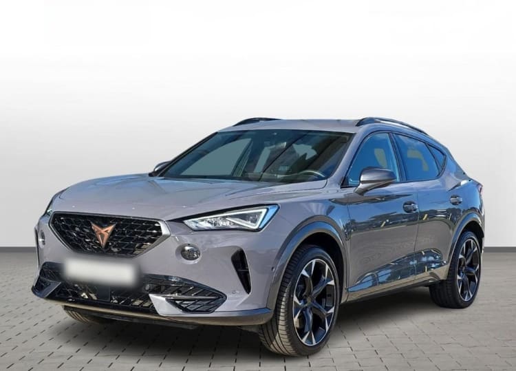 Cupra Formentor Formentor 2.0 TSI 4Drive VZ DSG