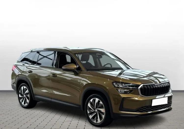 Skoda Kodiaq Kodiaq 2.0 TSI mHEV 4x2 Selection DSG