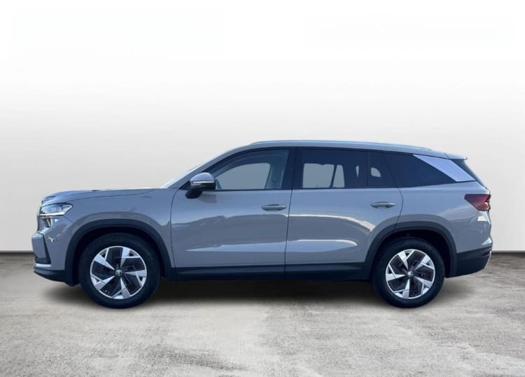Skoda Kodiaq Kodiaq 2.0 TDI 4x4 Selection DSG