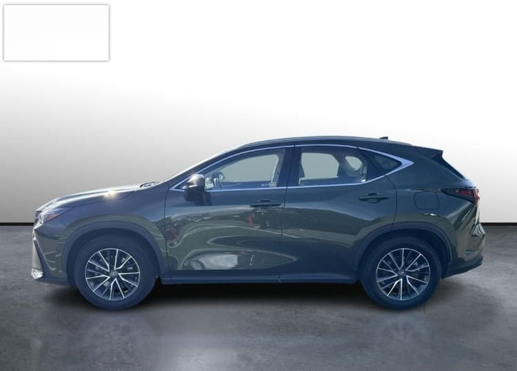 Lexus NX NX 350h Business AWD