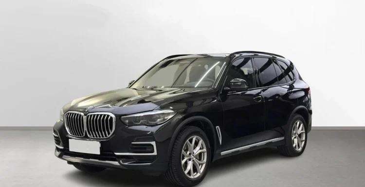 BMW X5 X5 xDrive30d mHEV aut