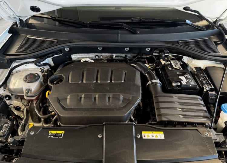 Volkswagen T-Roc T-ROC 2.0 TSI 4Mot. Advance DSG