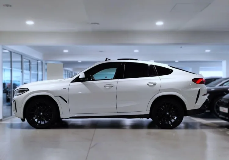 BMW X6 X6 xDrive30d mHEV
