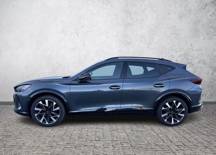 Cupra Formentor Formentor 2.0 TSI 4Drive VZ DSG