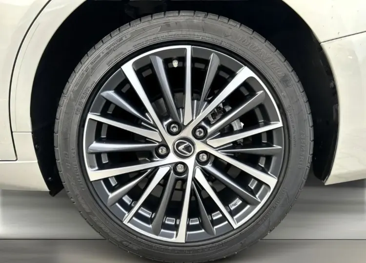 Lexus ES ES 300h Business Edition