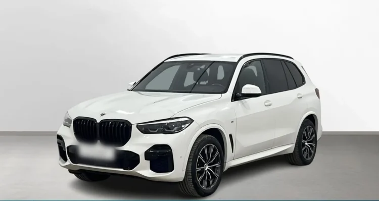 BMW X5 X5 xDrive25d sport-aut