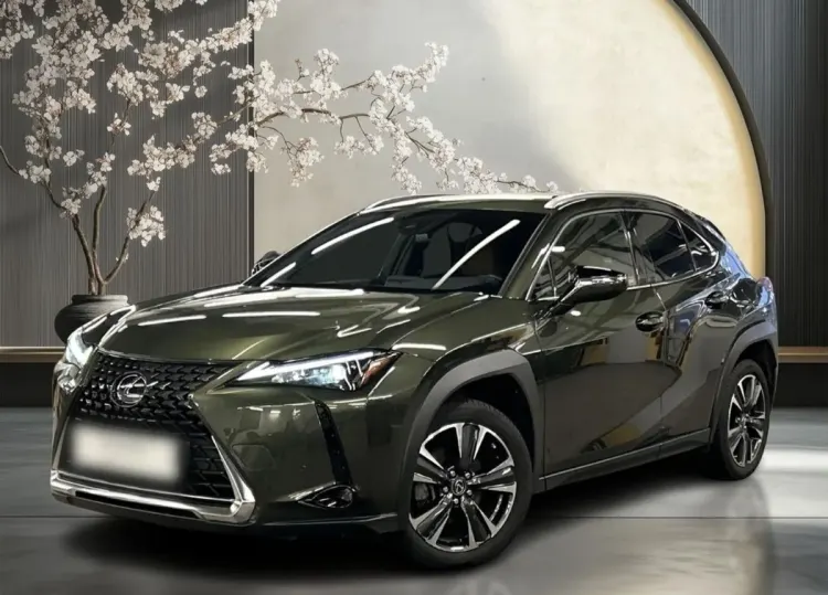 Lexus UX UX 250h GPF Business 2WD