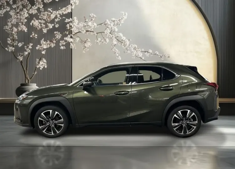 Lexus UX UX 250h GPF Business 2WD