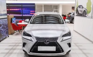 Lexus NX NX 300h Elegance AWD
