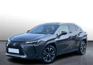 Lexus UX UX 200 GPF Business 2WD