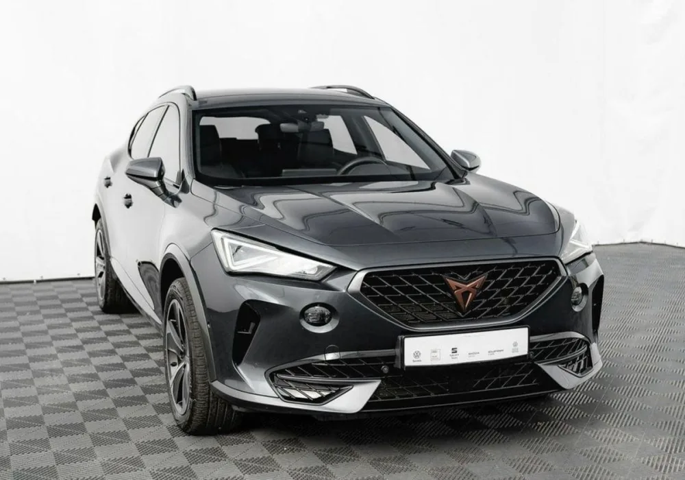 Cupra Formentor Formentor 2.0 TSI 4Drive DSG