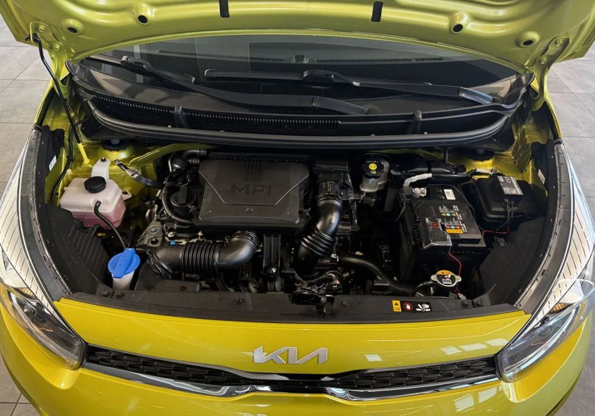 Kia Picanto Picanto 1.0 L Business Line