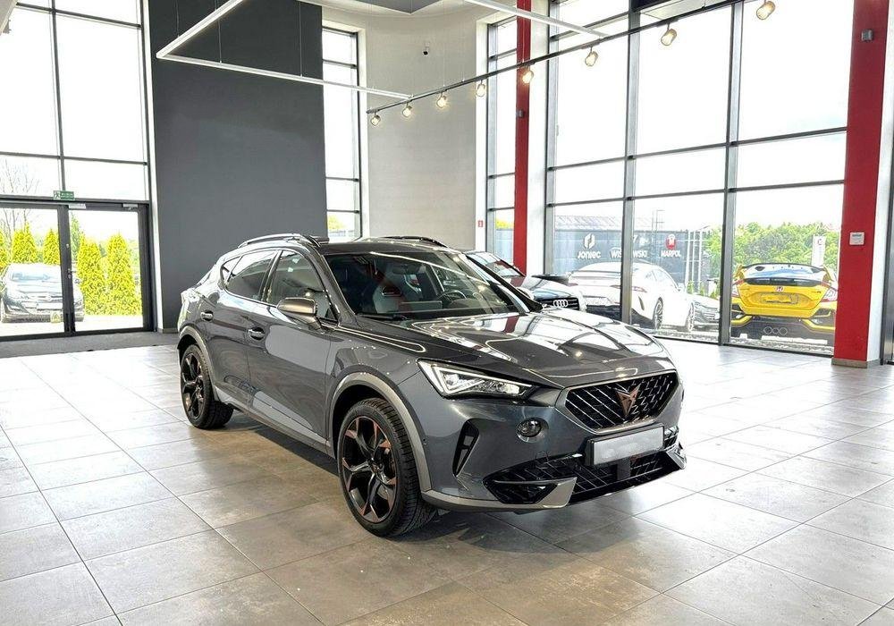 Cupra Formentor Formentor 2.0 TSI 4Drive VZ DSG