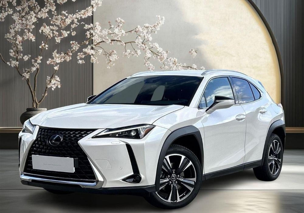 Lexus UX UX 250h GPF Business 2WD