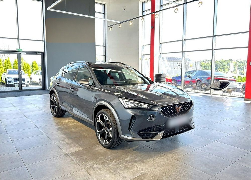 Cupra Formentor Formentor 2.0 TSI 4Drive DSG