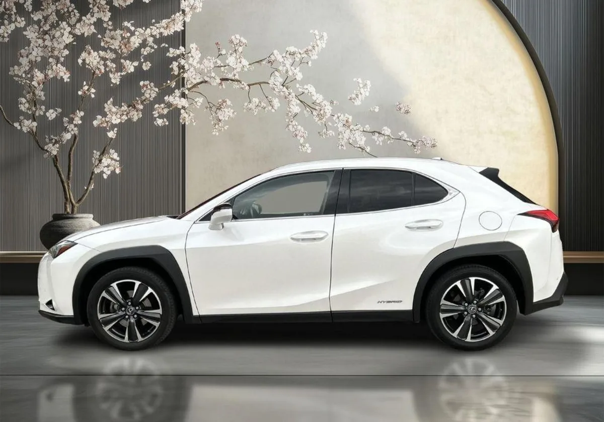 Lexus UX UX 250h GPF Business Edition 2WD