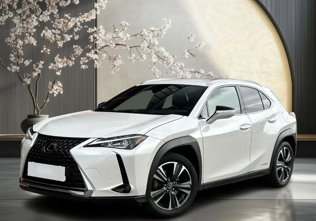 Lexus UX UX 250h GPF Business Edition 2WD
