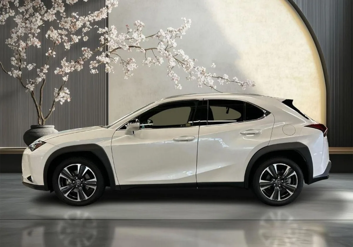 Lexus UX UX 300h Business