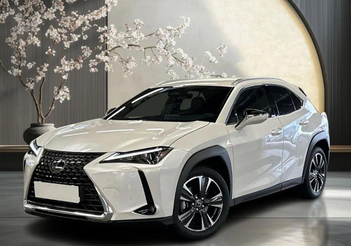 Lexus UX UX 300h Business