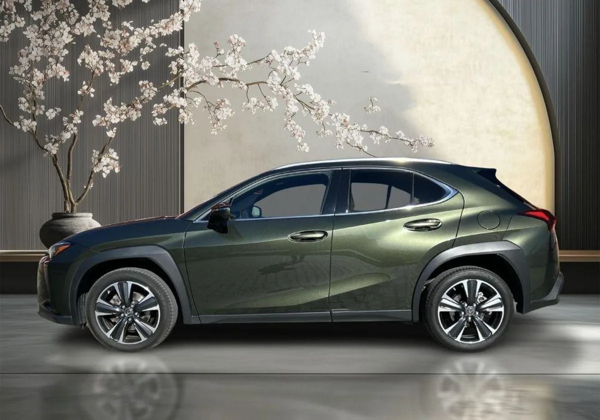 Lexus UX UX 250h GPF Business 2WD