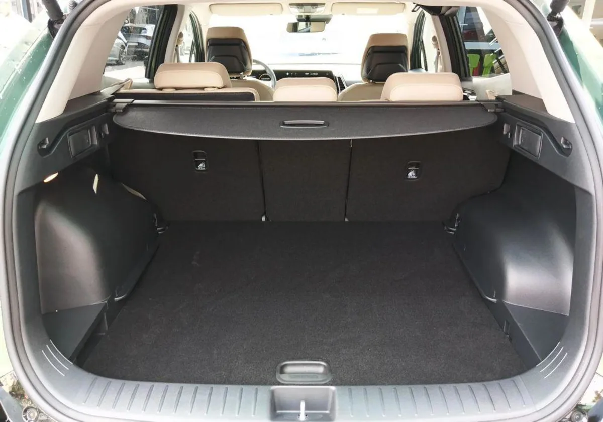 Kia Sportage Sportage 1.6 T-GDI HEV Business Line 4WD aut