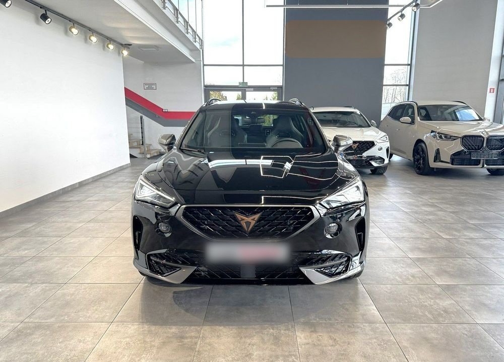 Cupra Formentor Formentor 2.0 TSI 4Drive DSG
