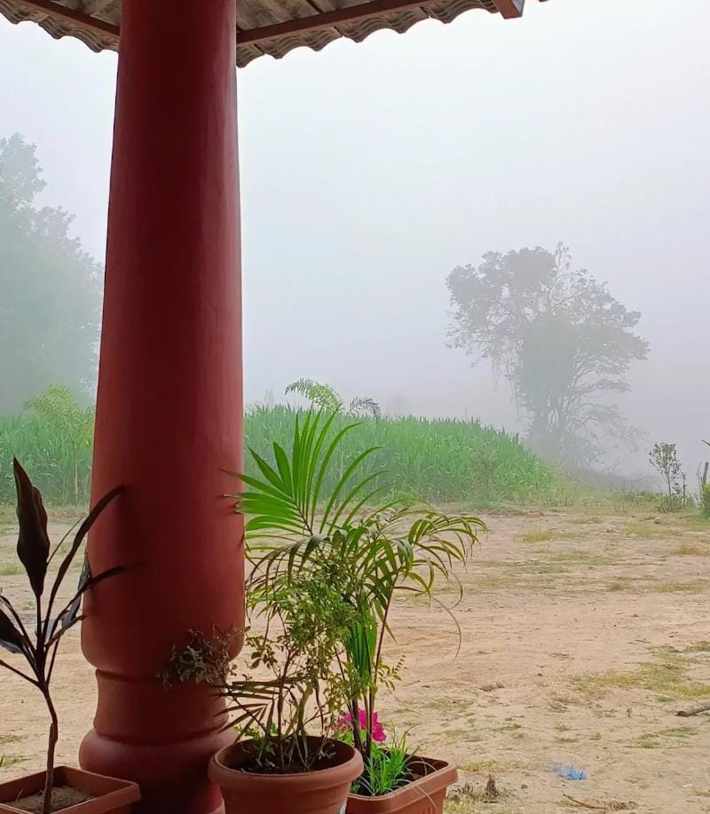 Aksha Homestay