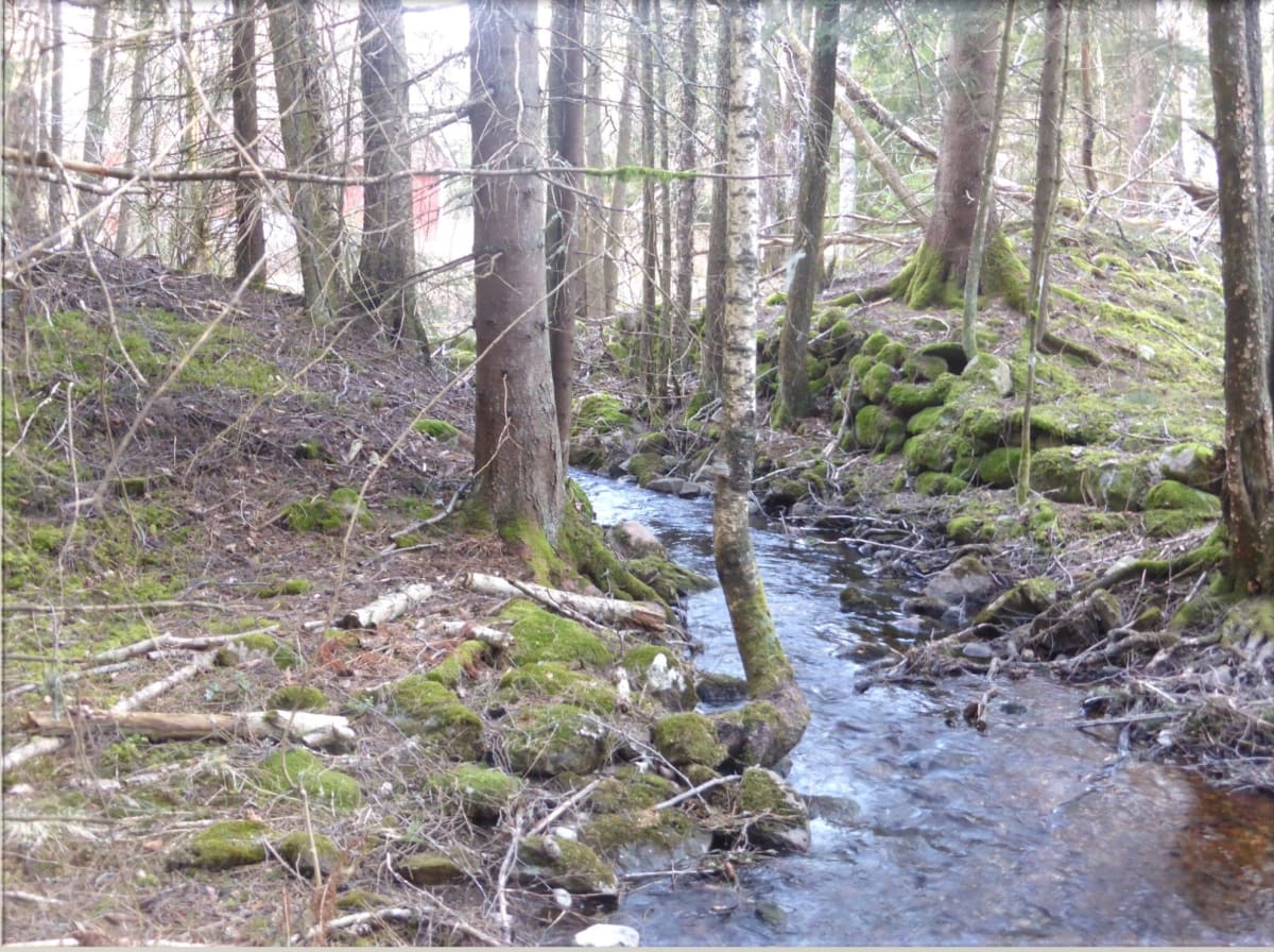 Kvarn i Yngshytteälv