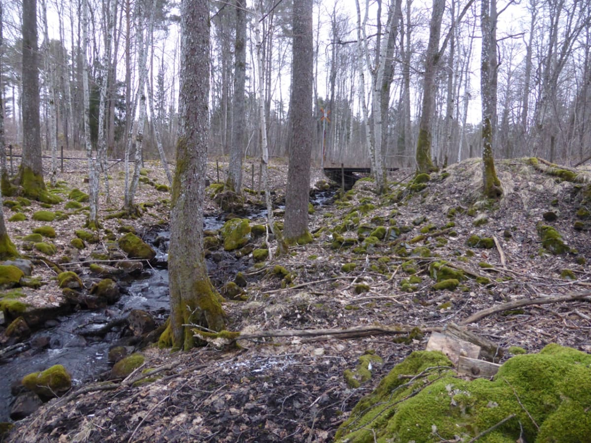 Krangruvanskonsthjul 1763