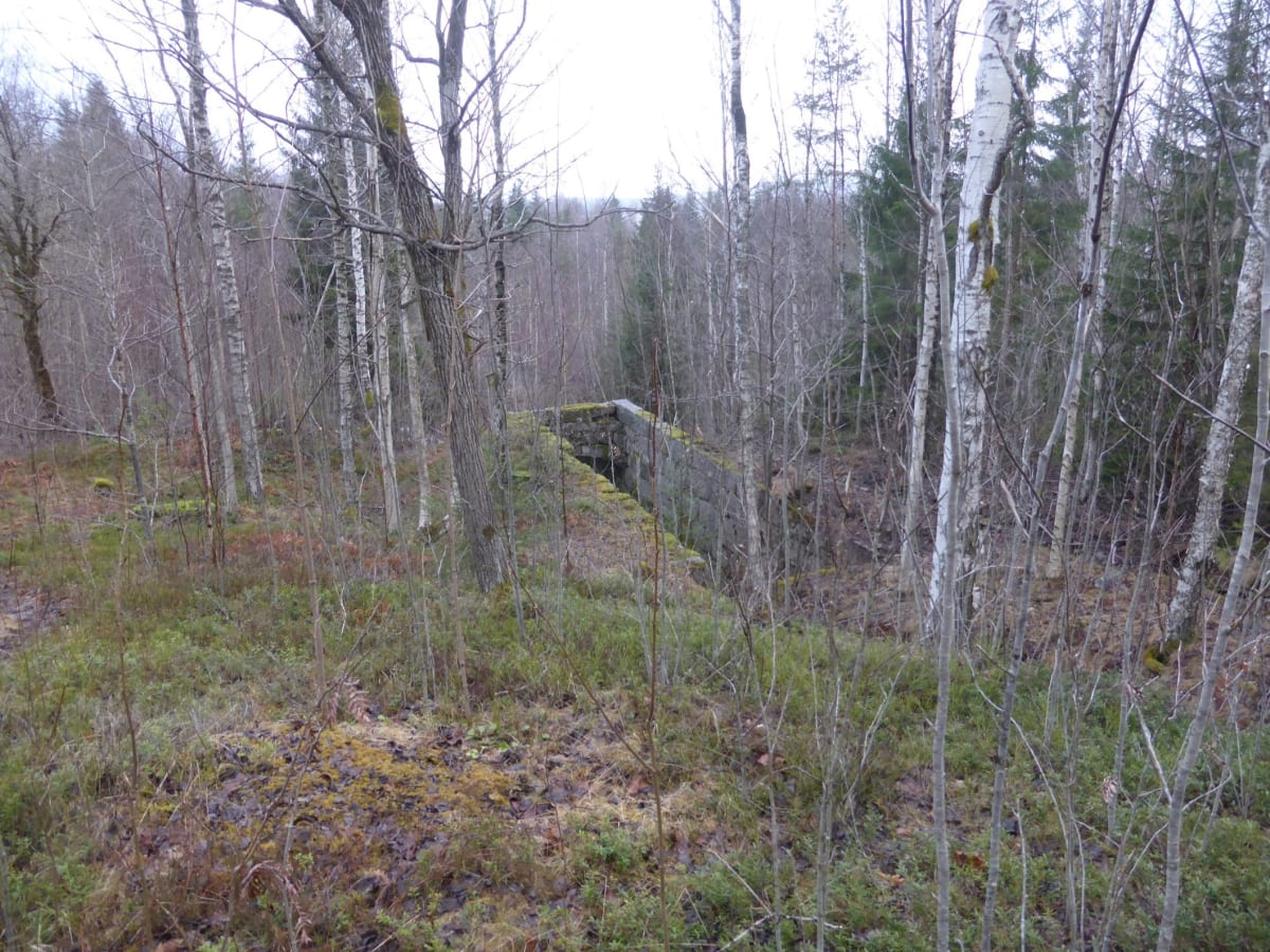 Krangruvans Konsthjul 1862