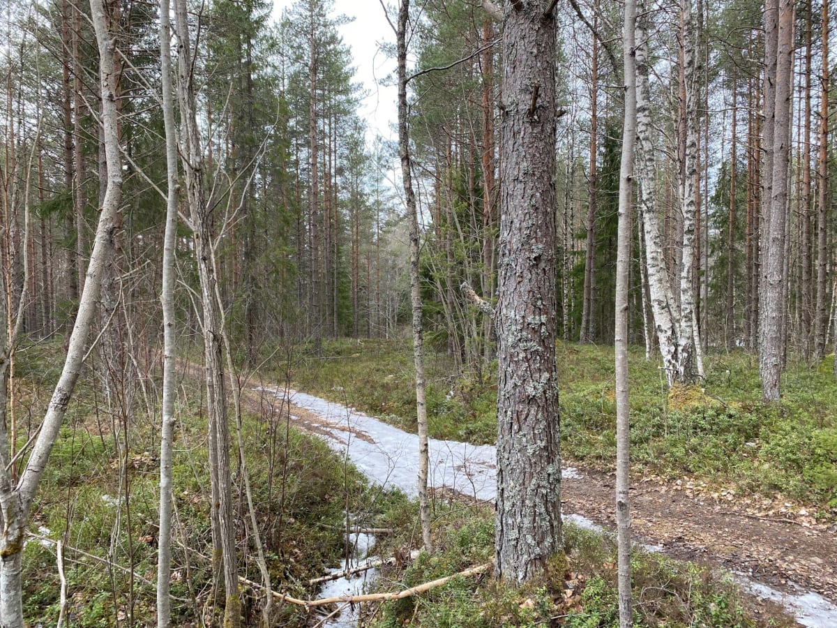 Hall/Bottengruvans Järnväg