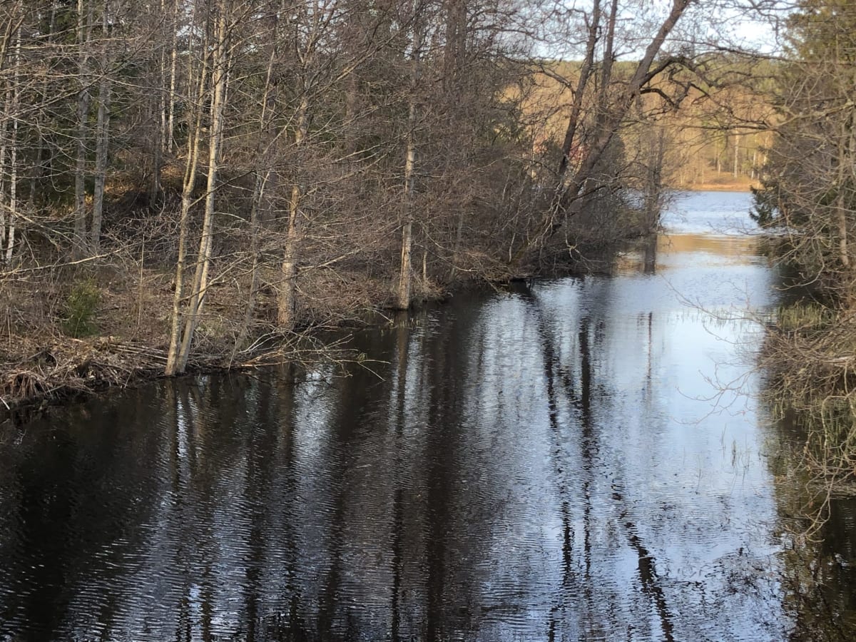 Västra Åskagshyttan