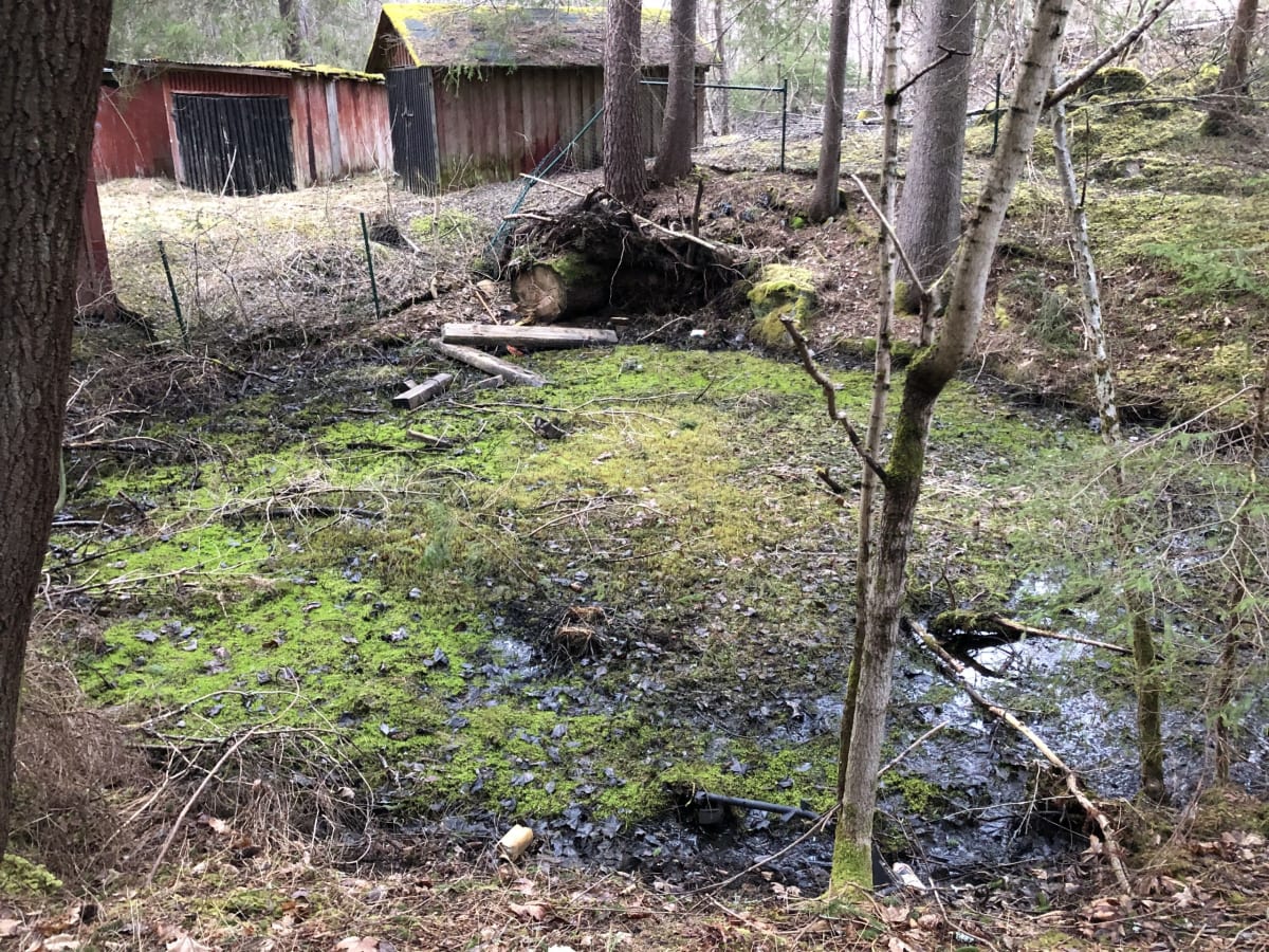 Carl – Sigfridsgruvan