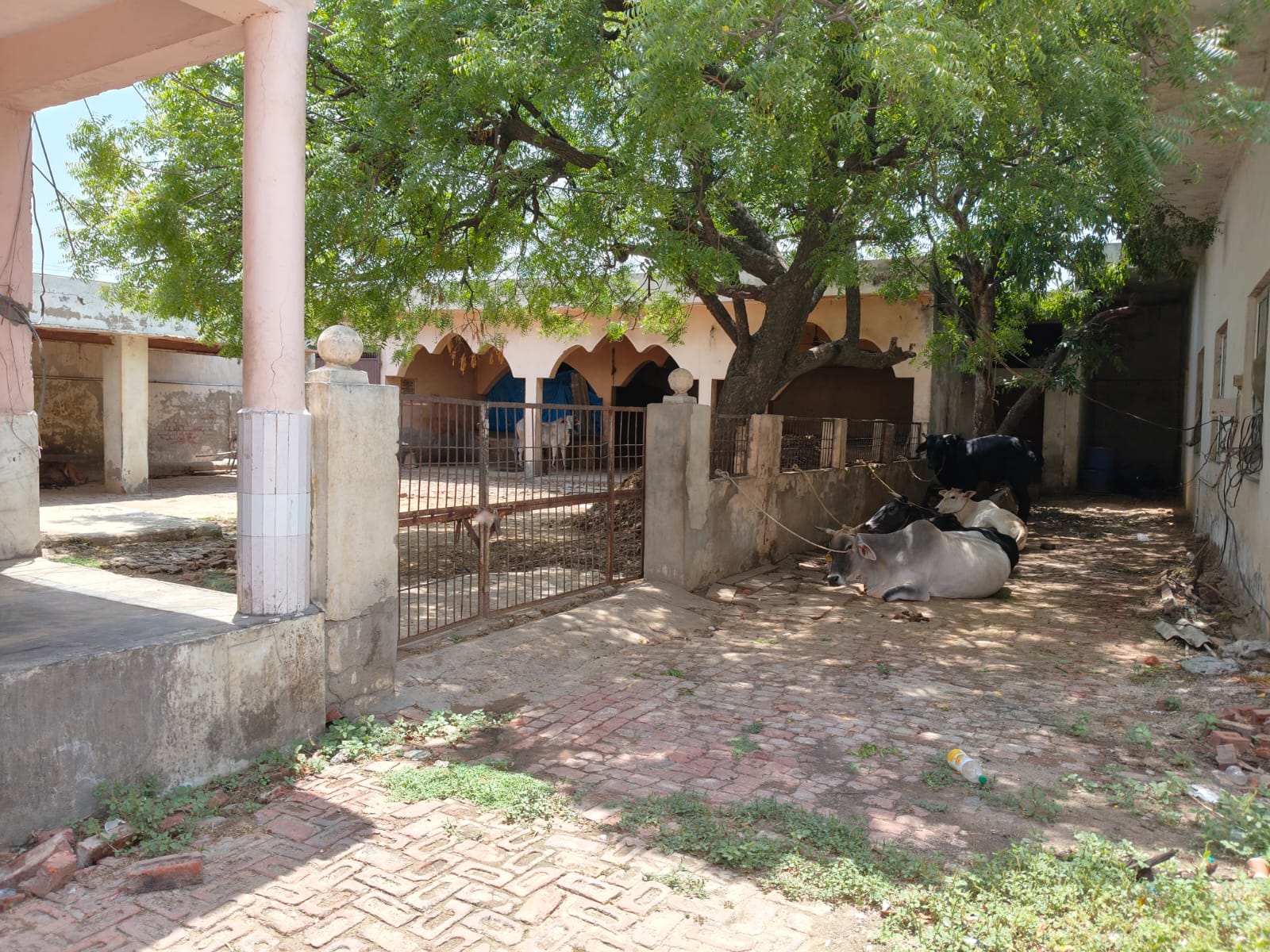 Gaushala