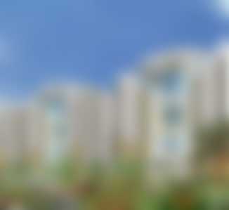 Golden Blossom  - 2 BHK - 1365 sqft